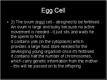 Egg Cell