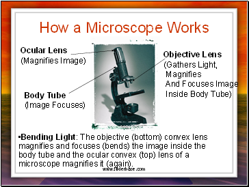 How a Microscope Works