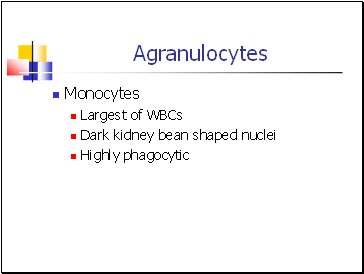 Agranulocytes
