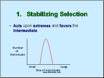 1. Stabilizing Selection