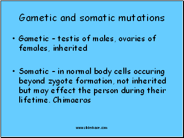 Gametic and somatic mutations