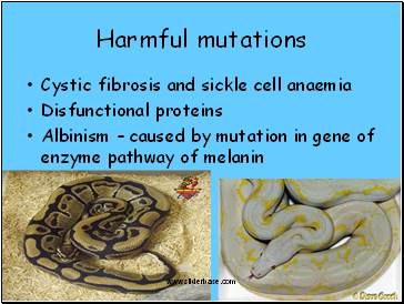 Harmful mutations
