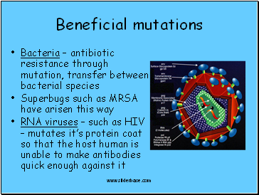Beneficial mutations