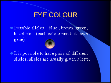Eye Colour