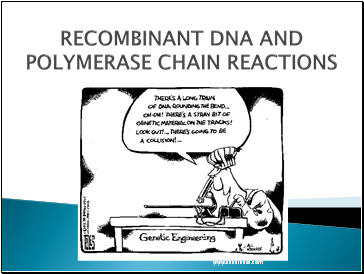 RECOMBINANT DNA AND POLYMERASE CHAIN REACTIONS
