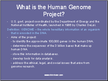 What is the Human Genome Project?