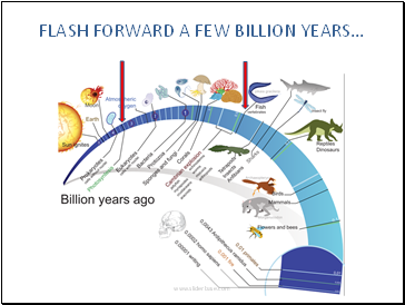 Flash forward a few Billion years