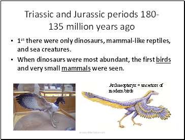 Triassic and Jurassic periods 180-135 million years ago