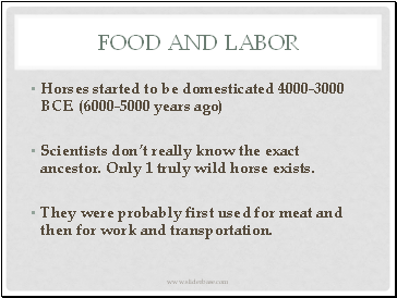 Food and Labor