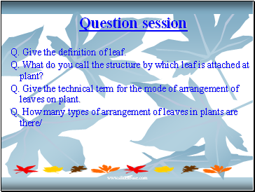 Question session