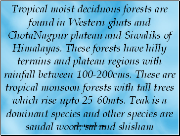 Tropical moist deciduous forests are found in Western ghats and ChotaNagpur plateau and Siwaliks of Himalayas. These forests have hilly terrains and plateau regions with rainfall between 100-200cms. These are tropical monsoon forests with tall trees which rise upto 25-60mts. Teak is a dominant species and other species are sandal wood, sal and shisham