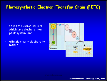 Photosynthetic Electron Transfer Chain (PETC)