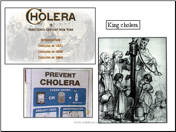 King cholera