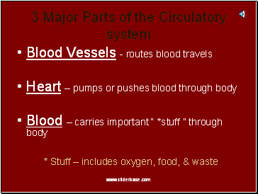 3 Major Parts of the Circulatory system