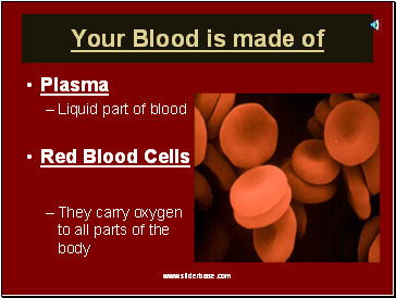 Your Blood is made of