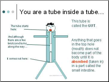 You are a tube inside a tube