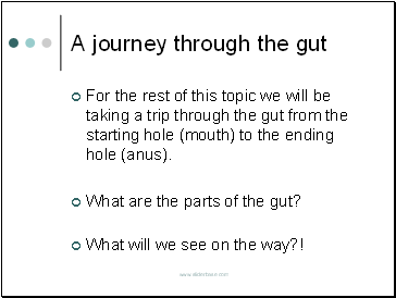 A journey through the gut