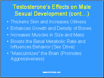 Testosterones Effects on Male Sexual Development (cont)