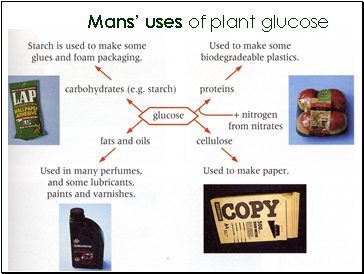 Mans uses of plant glucose